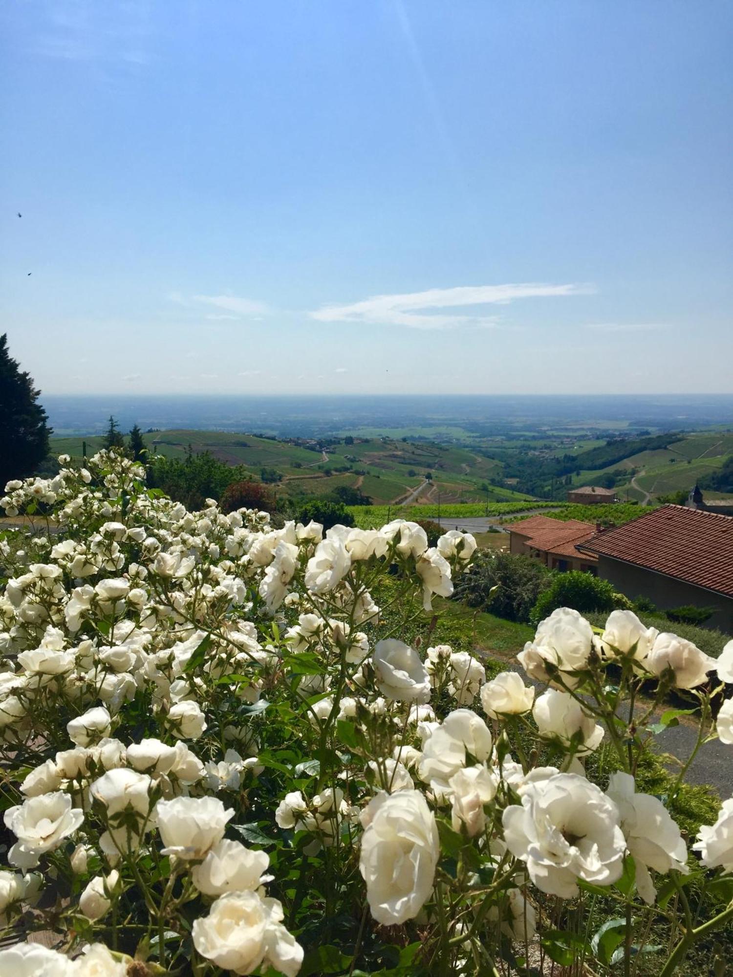 Le Balcon Du Fetre Bed and Breakfast Chiroubles Esterno foto