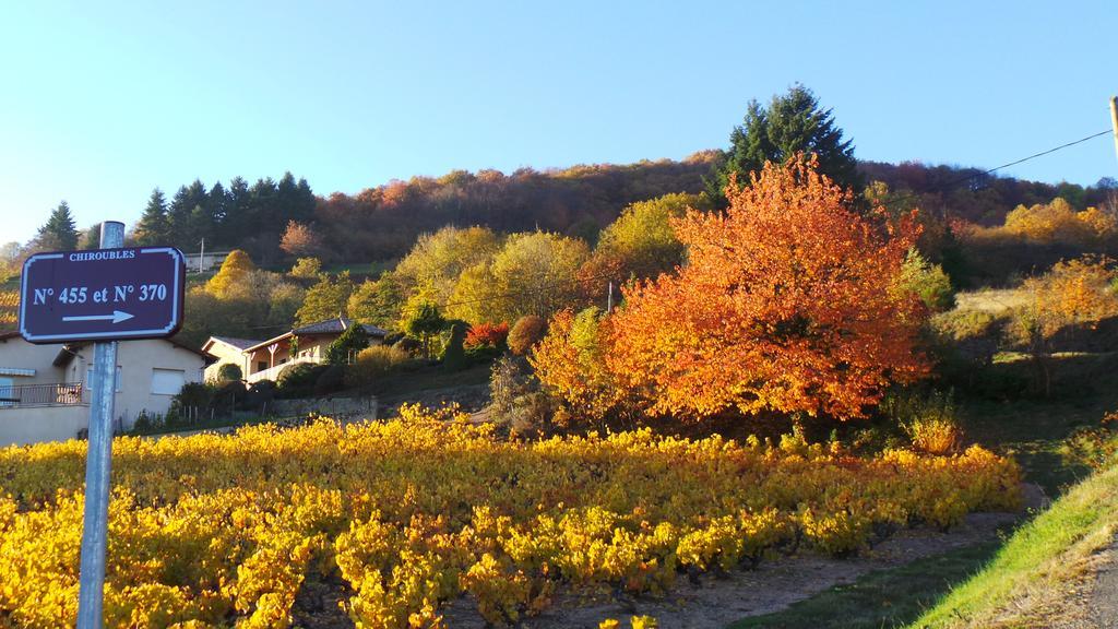 Le Balcon Du Fetre Bed and Breakfast Chiroubles Esterno foto